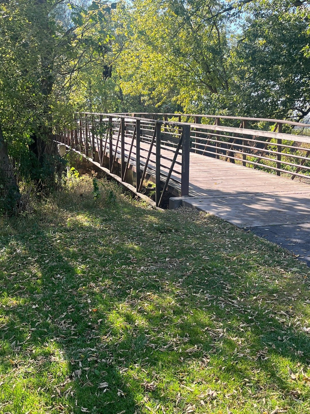 River Bridge