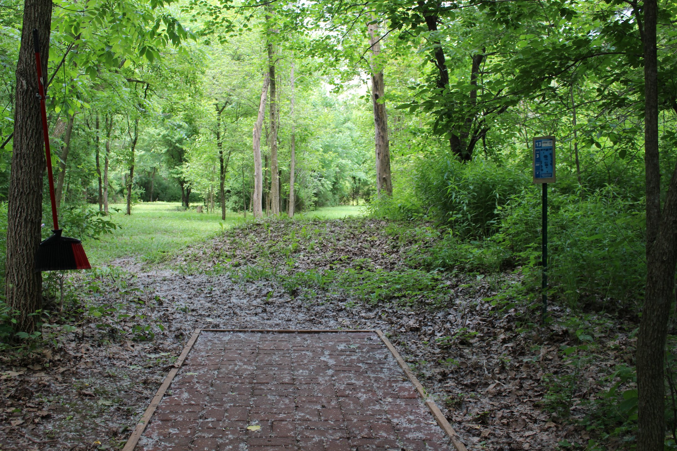 #13: Two routes to the basket tucked on the backside of center rough.
