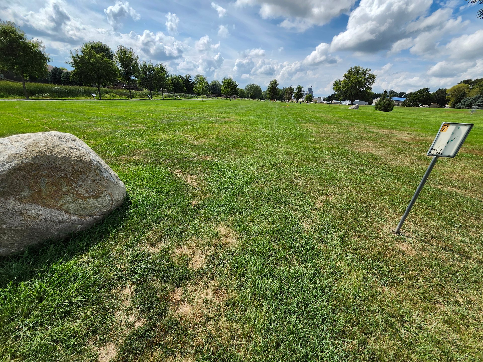 Tee 7