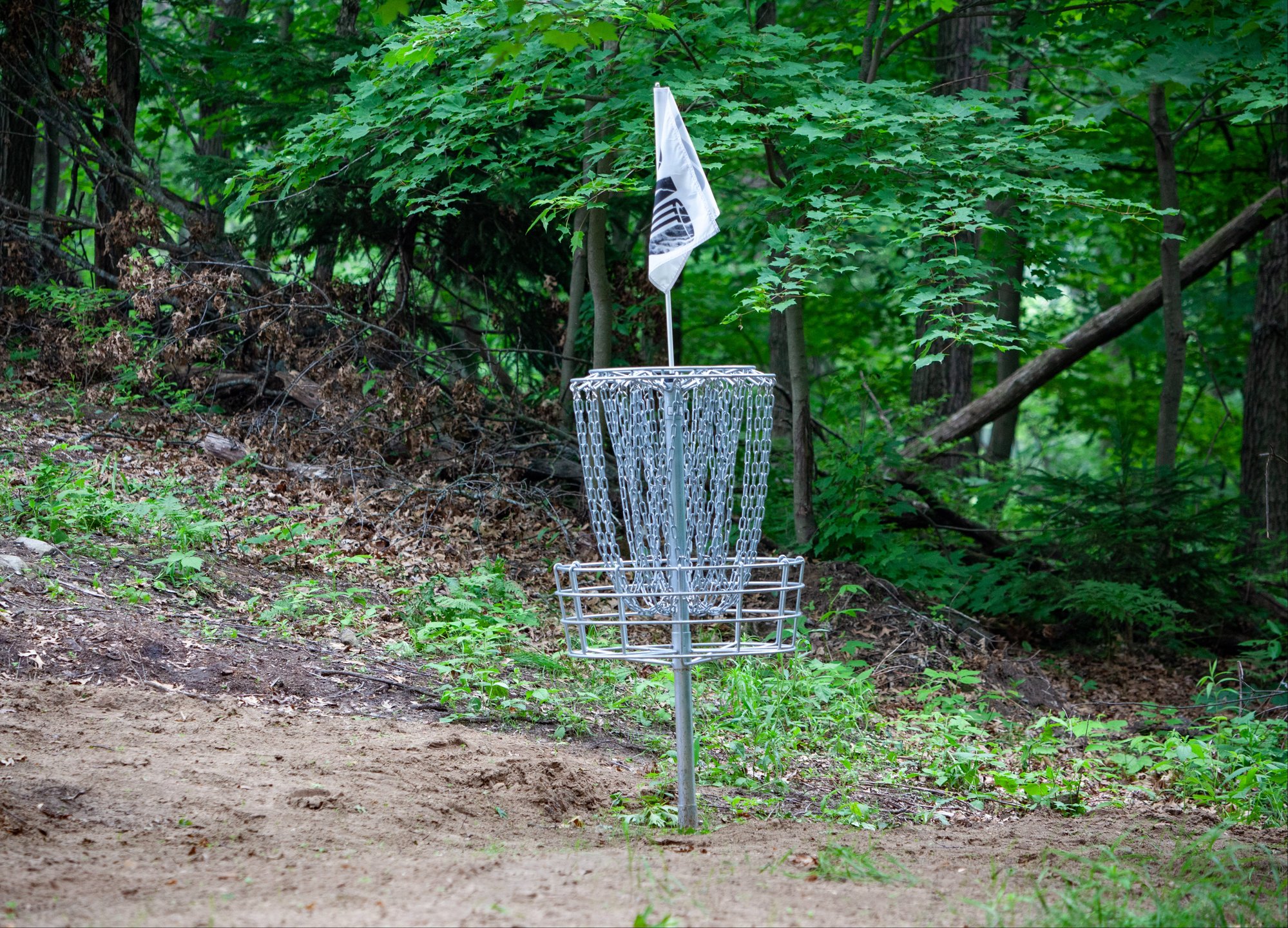Hole 2's Basket