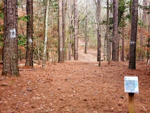 Whitetail - Hole 3