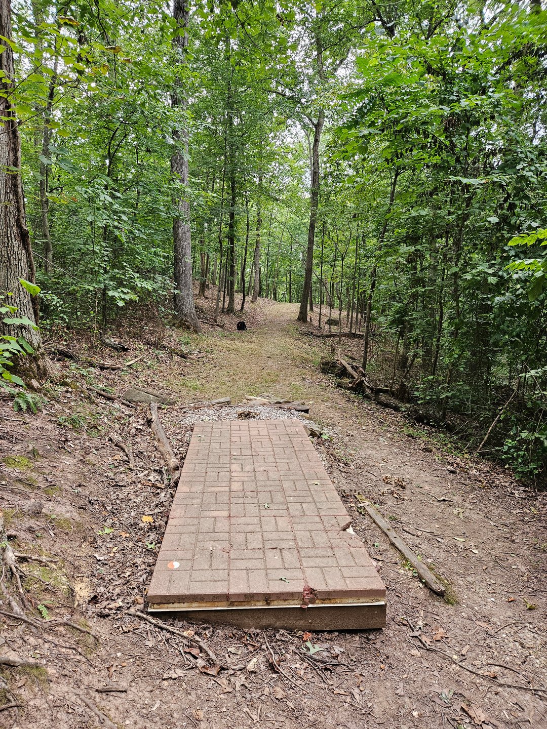 Hole 11 Tee Pad. Short Basket Straight, Long Basket Straight then Left.