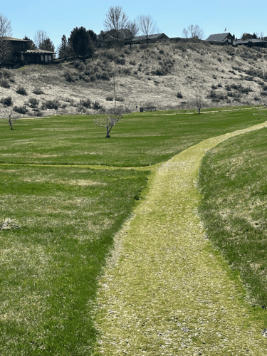 A few pathways on the course.