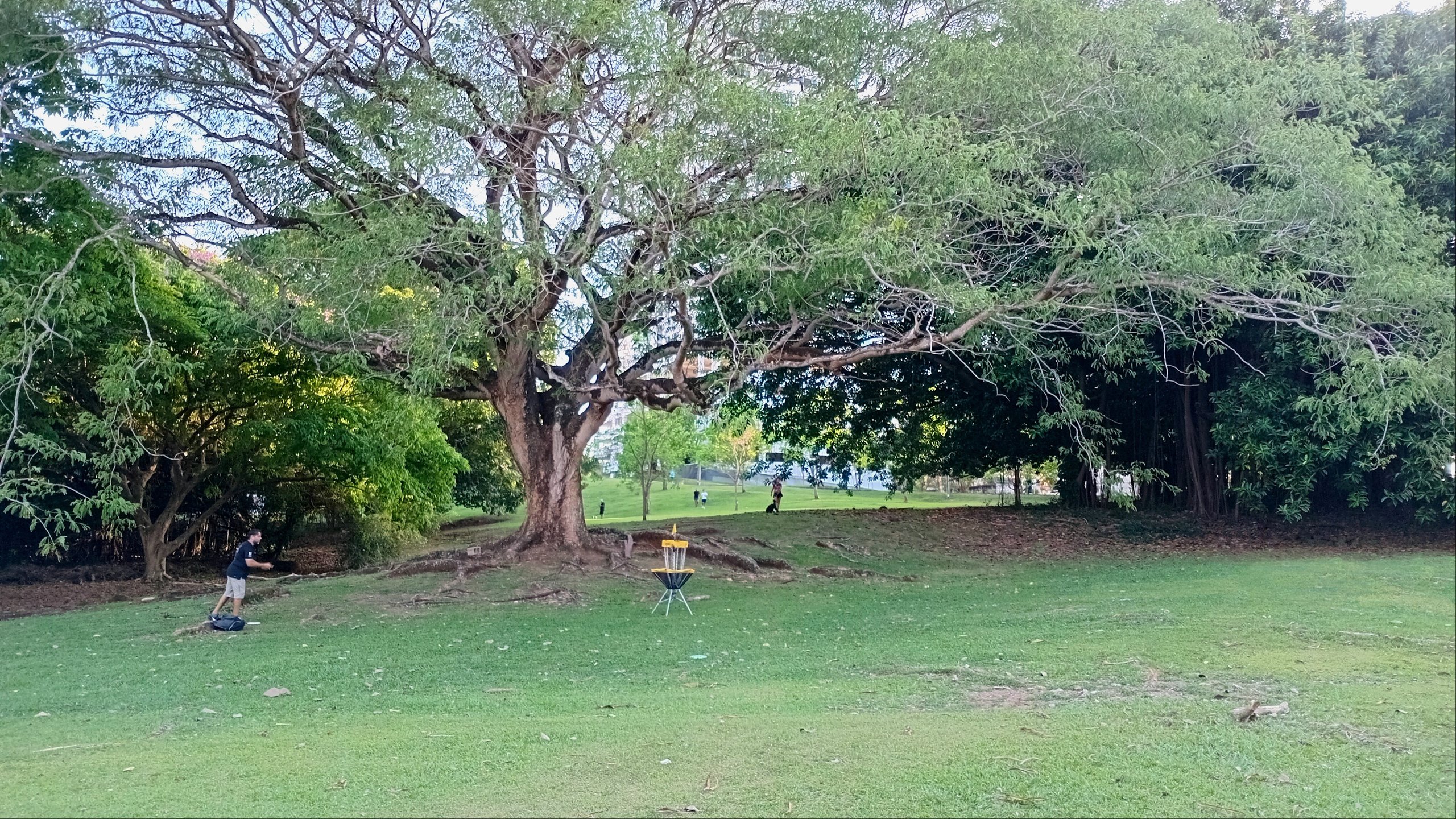 Parque Omar DG Course Hole 12 Target