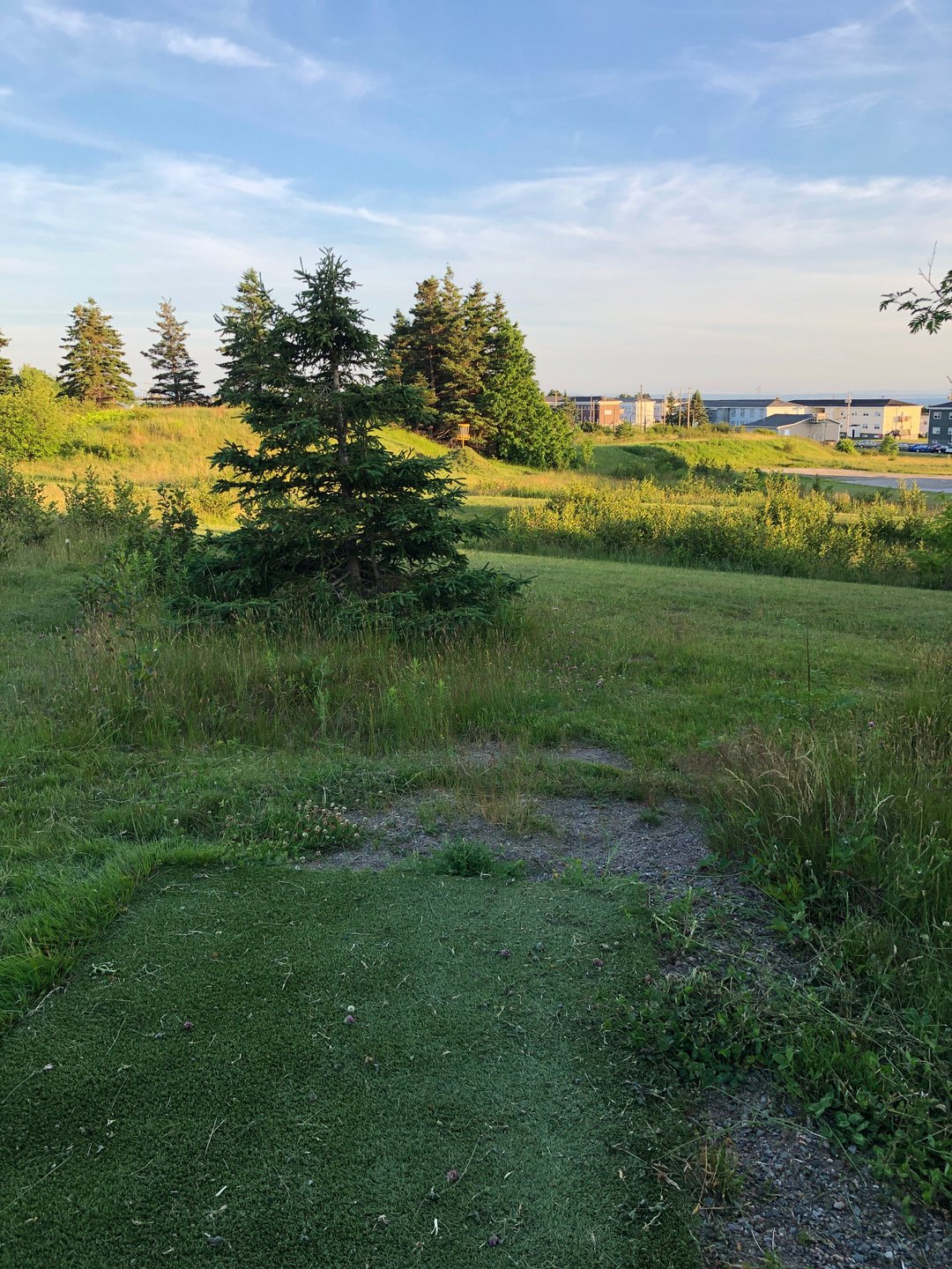 Hole 8 from red tee