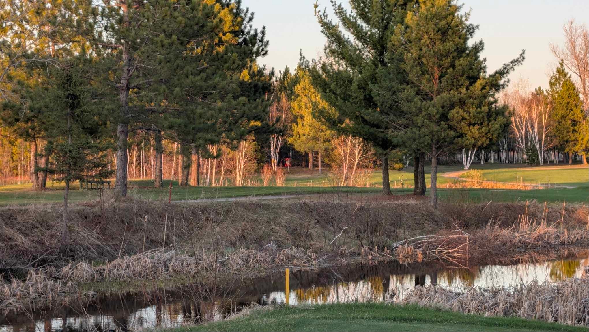Hole 4 Gold Tee
