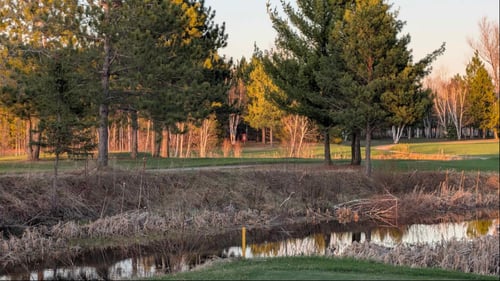 Hole 4 Gold Tee