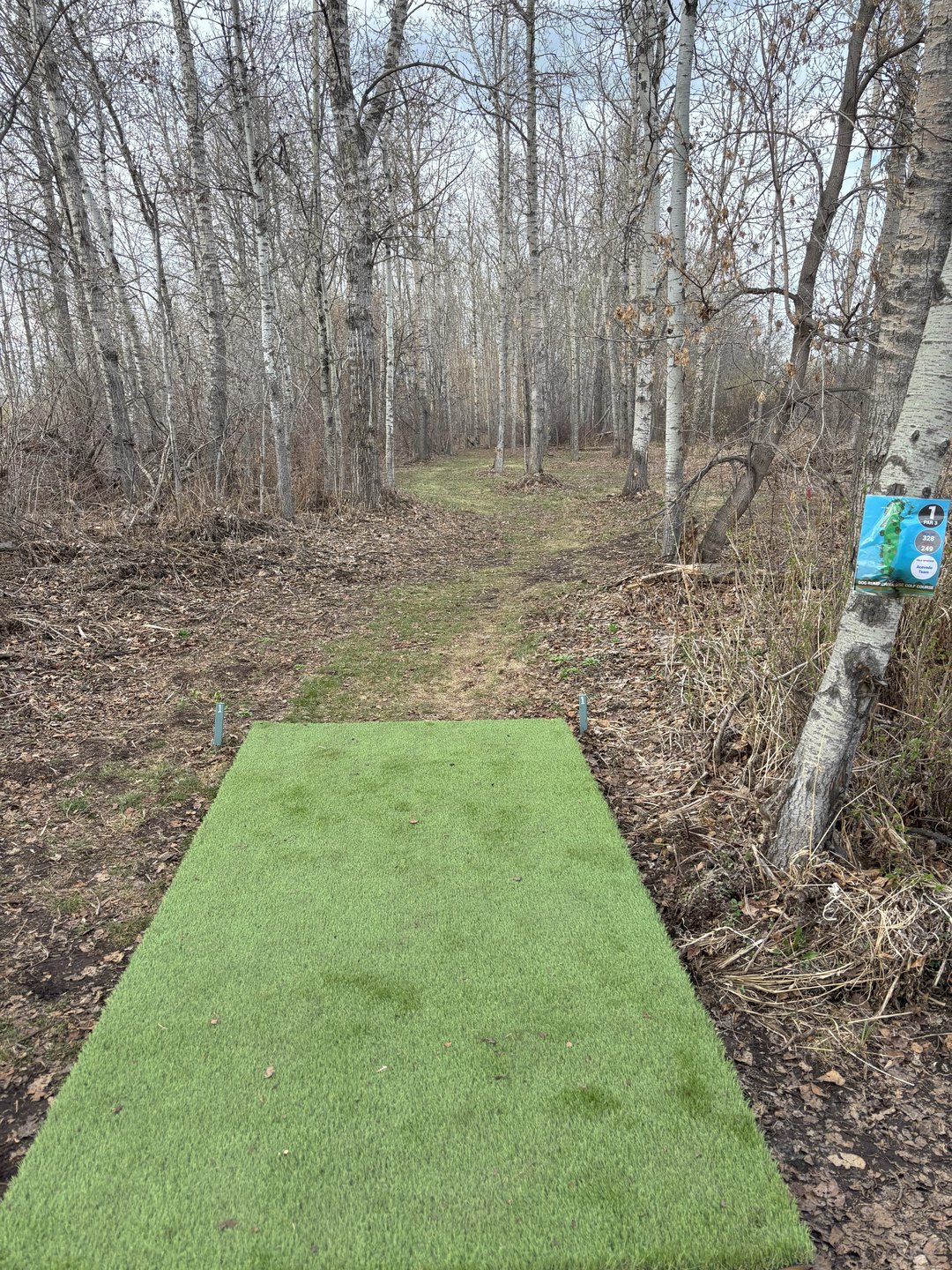 Hole 1 blue tee