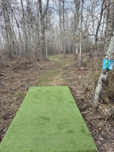 Hole 1 blue tee