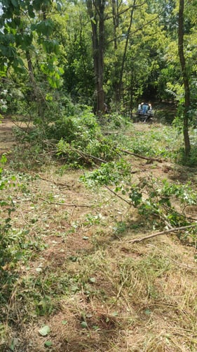 Brush and tree removal with track loader