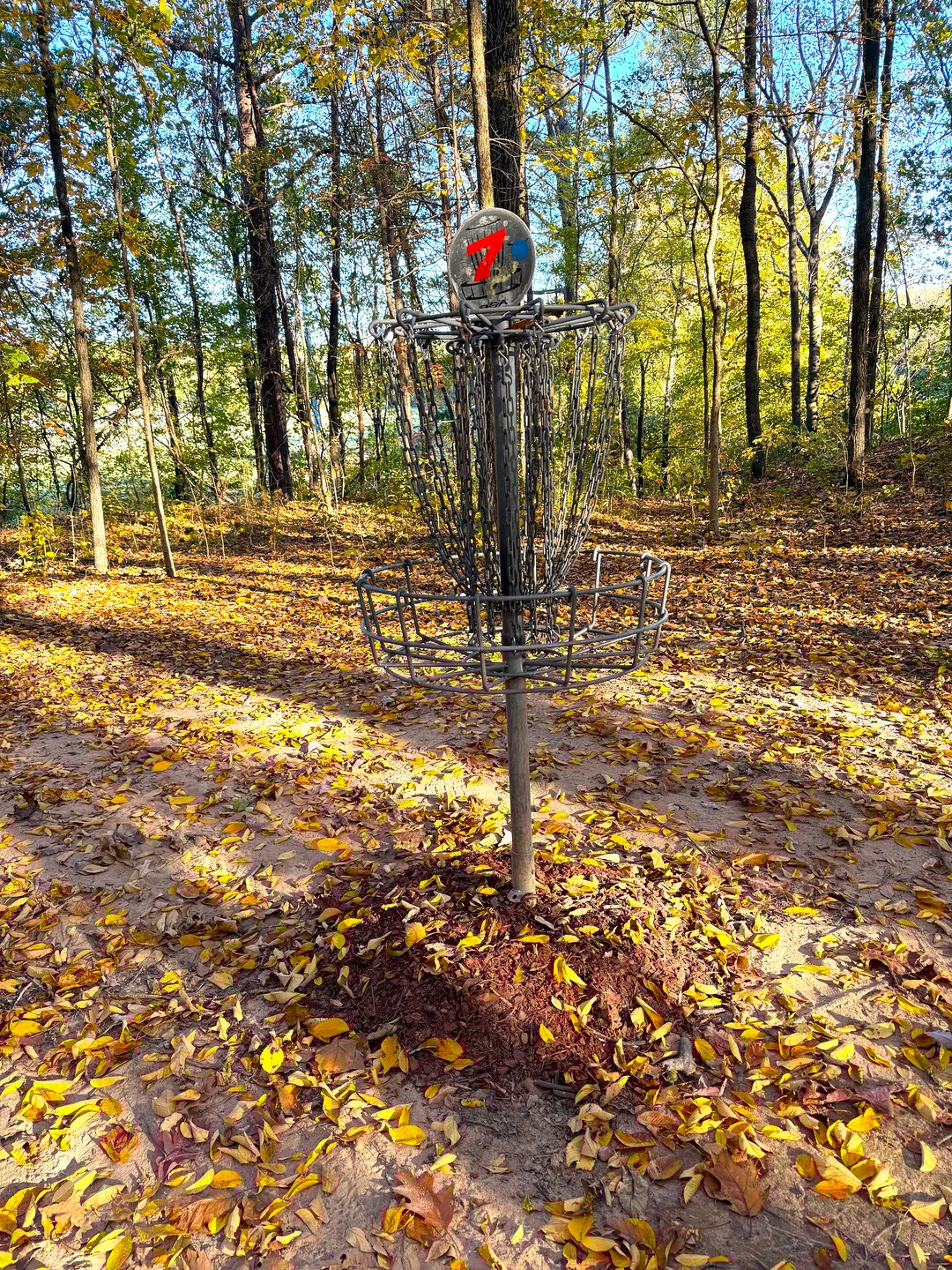 Hole 7 Basket