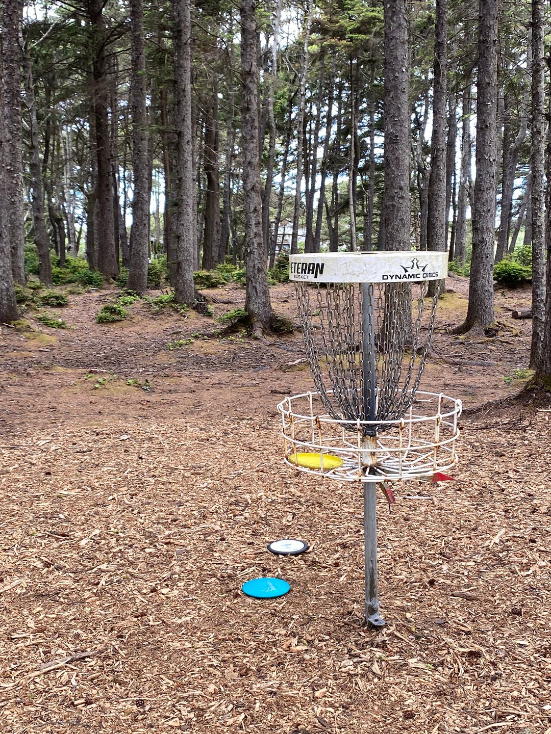 Shared basket for Holes 5 and 14 on the Main layout, and Holes 6A and 21A on the Bandon 30 layout.