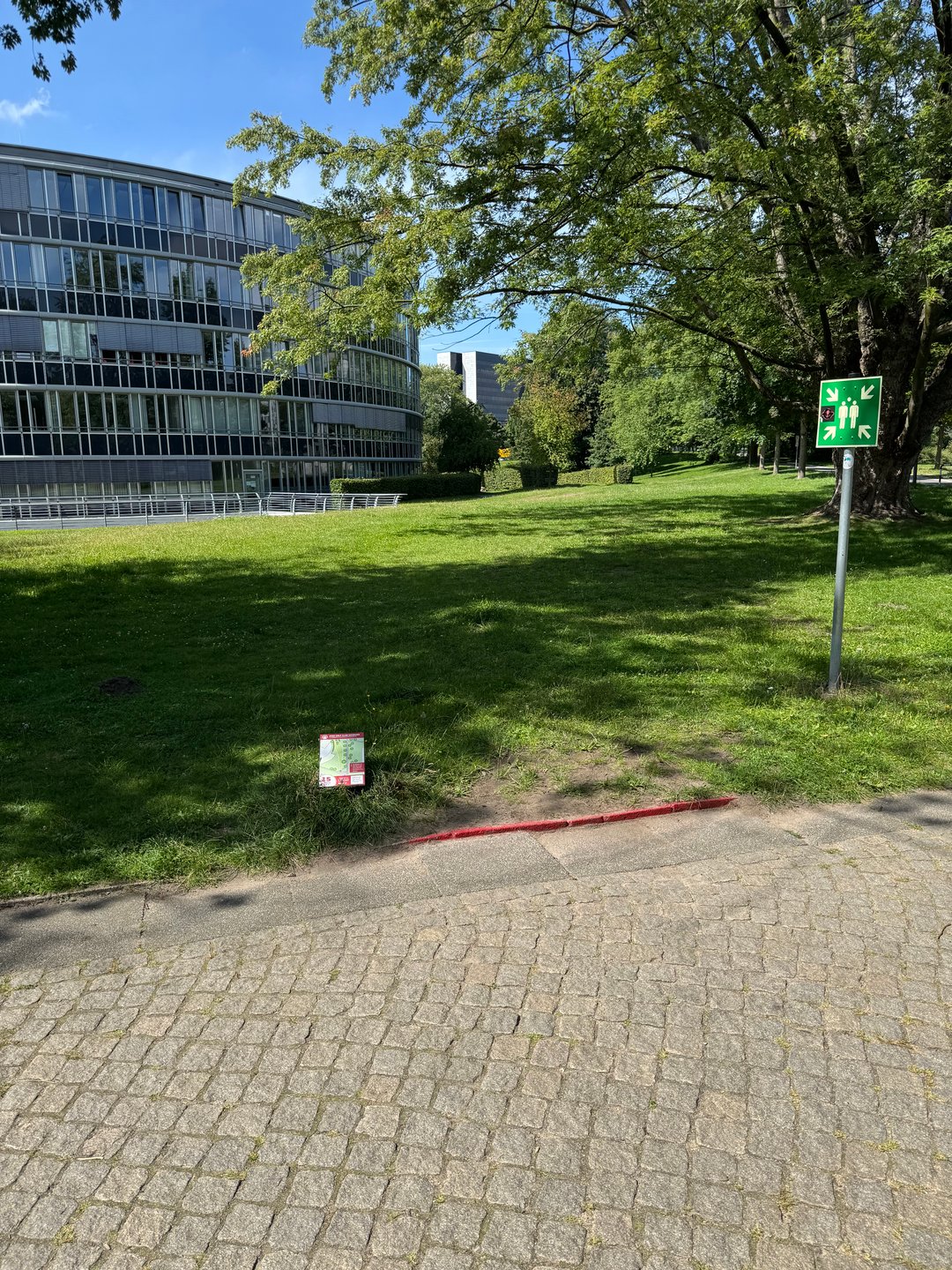 ⚠️🚸