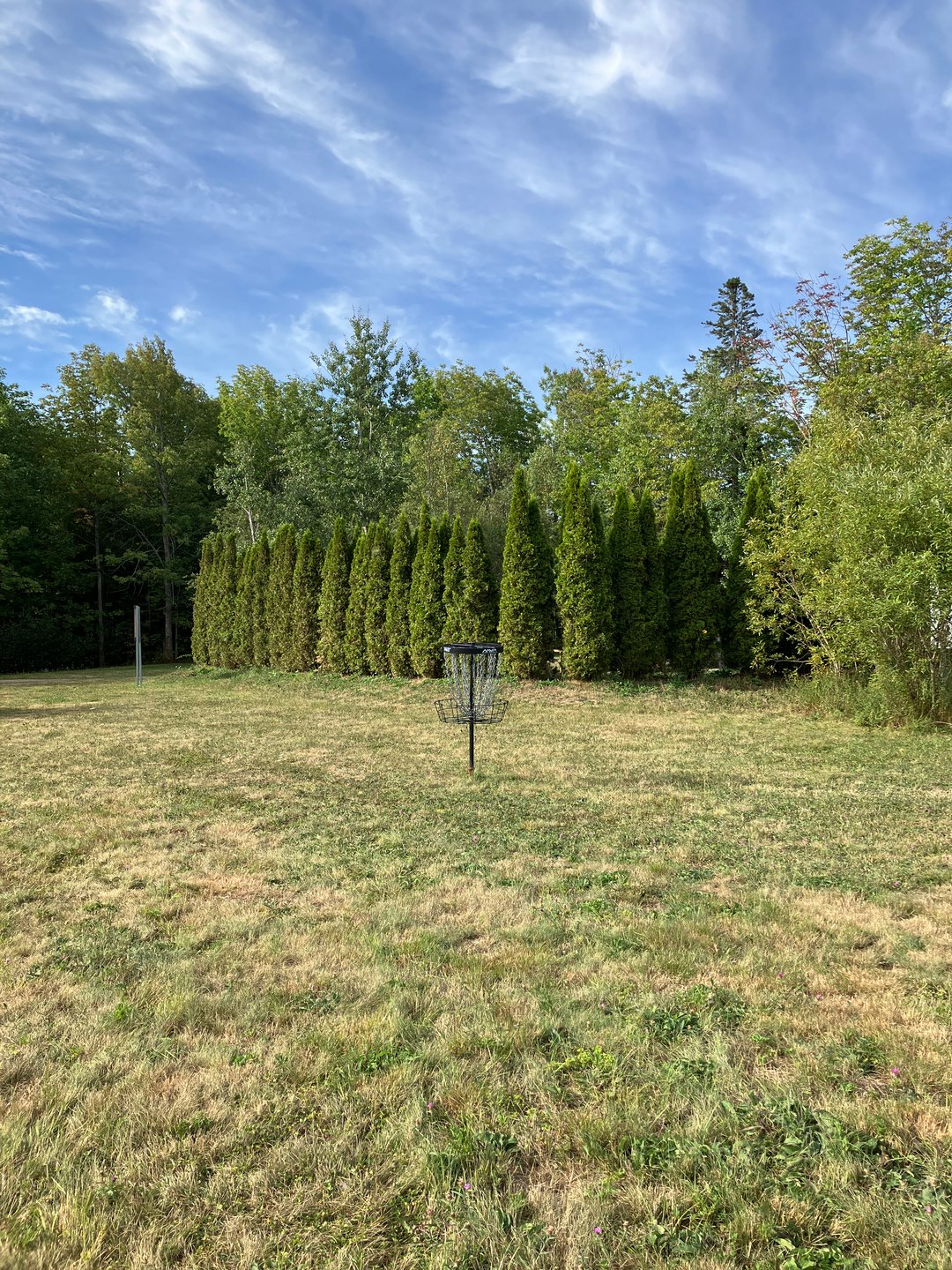 Hole 7 basket