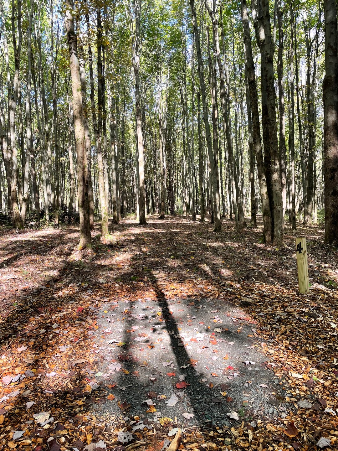 Hole 4, Tee.