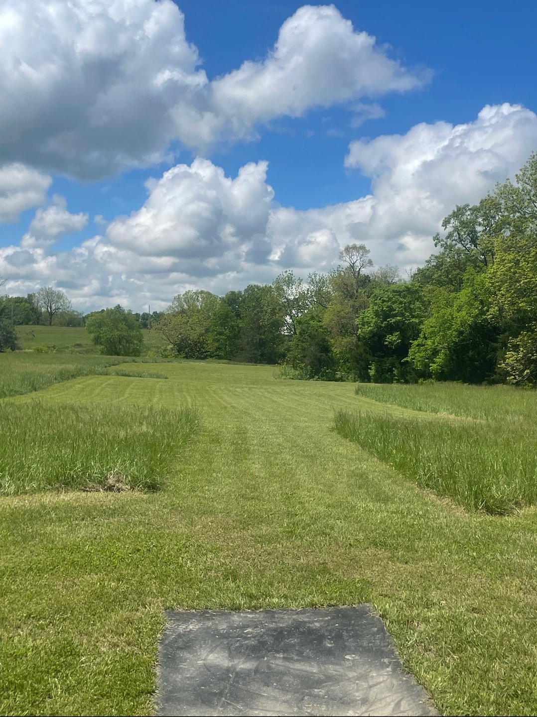 Tee pad for 6
