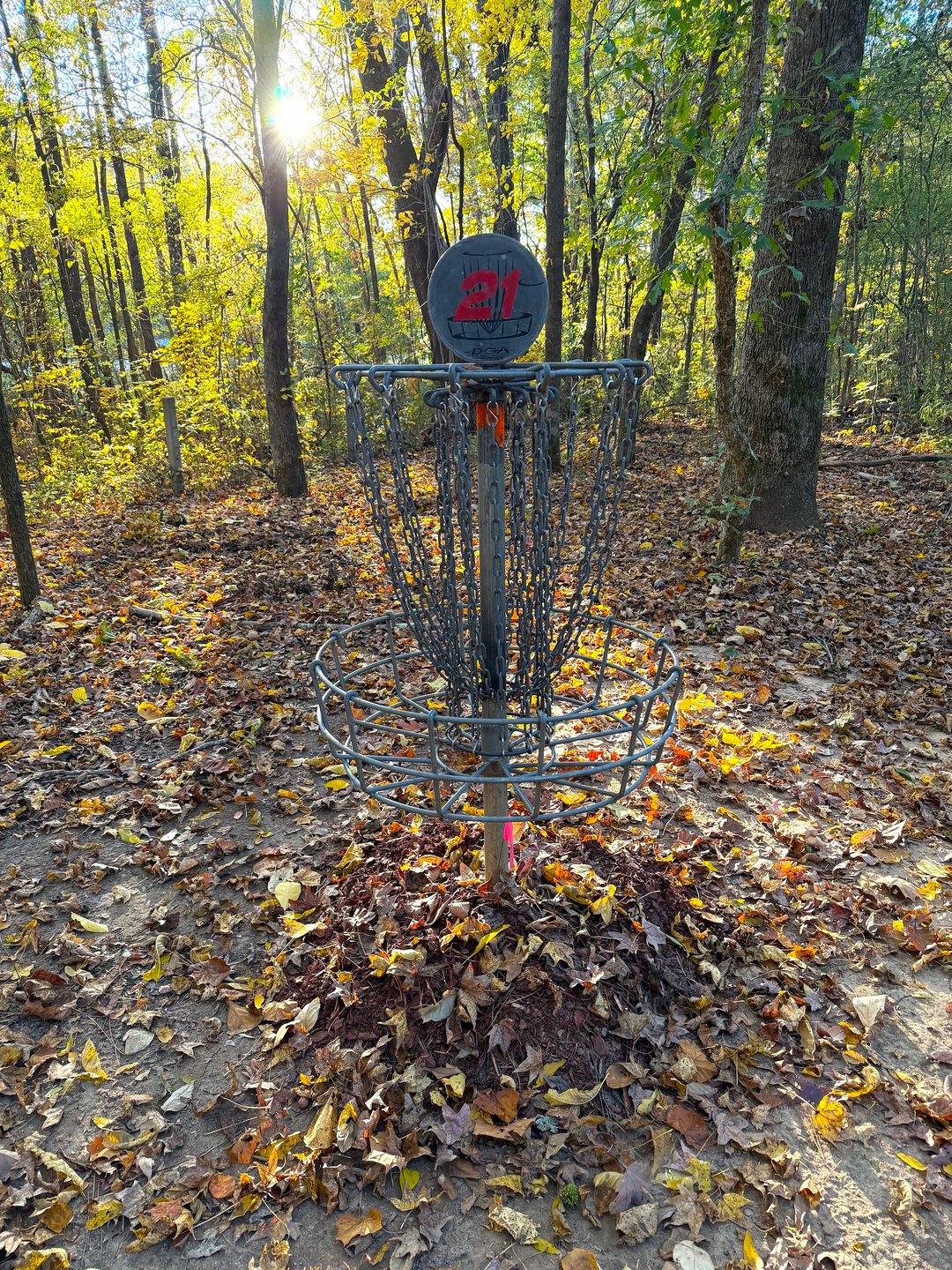Hole 21 Basket
