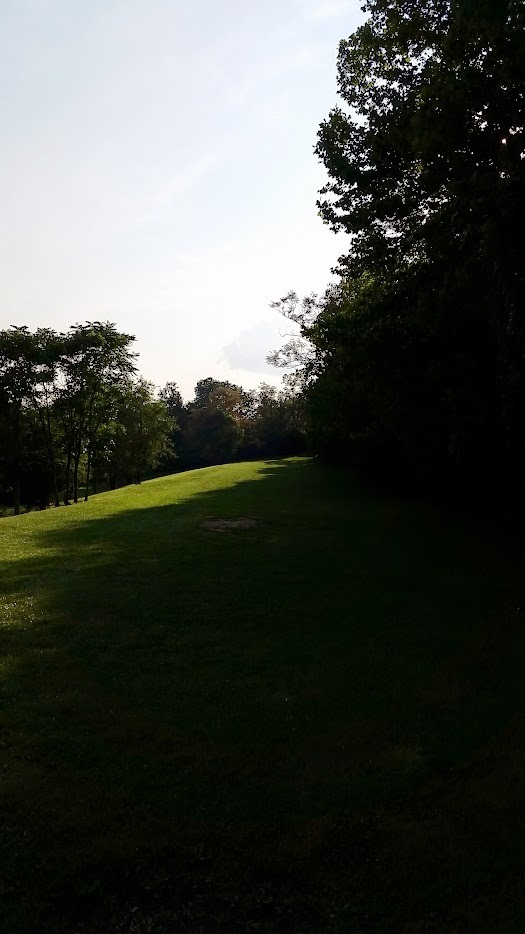 longest hole on the course and the worst photo.  Basket is way back in the last bit of sun