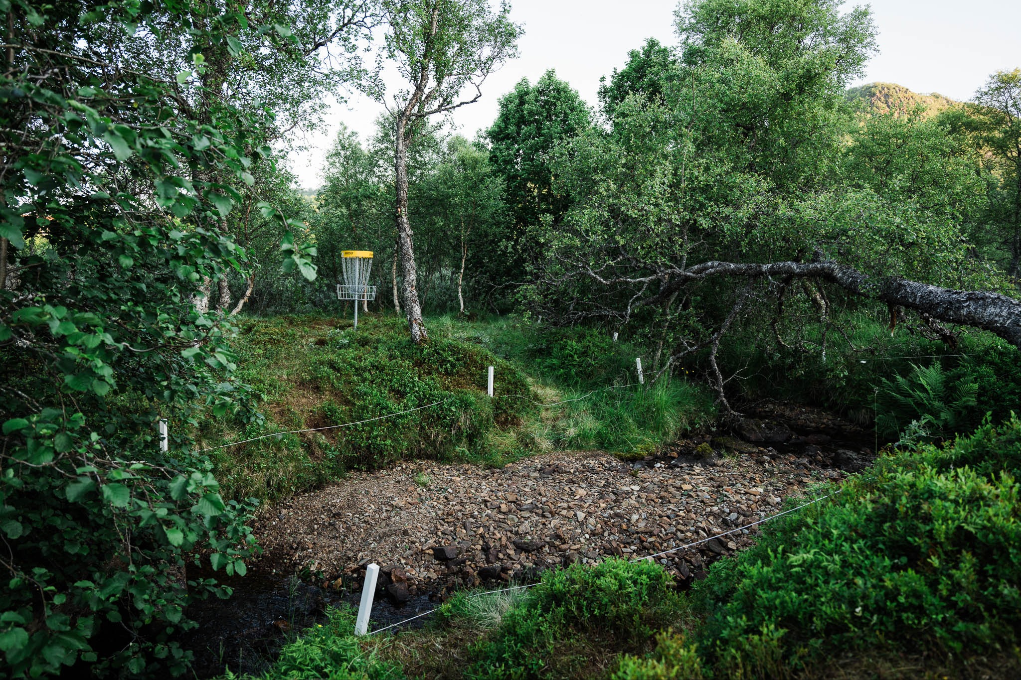 Green med OB området før hull 19