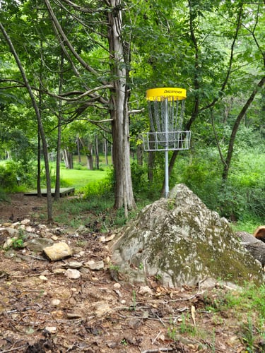 Basket on hole 11 with 12's tee and fairway in the background.