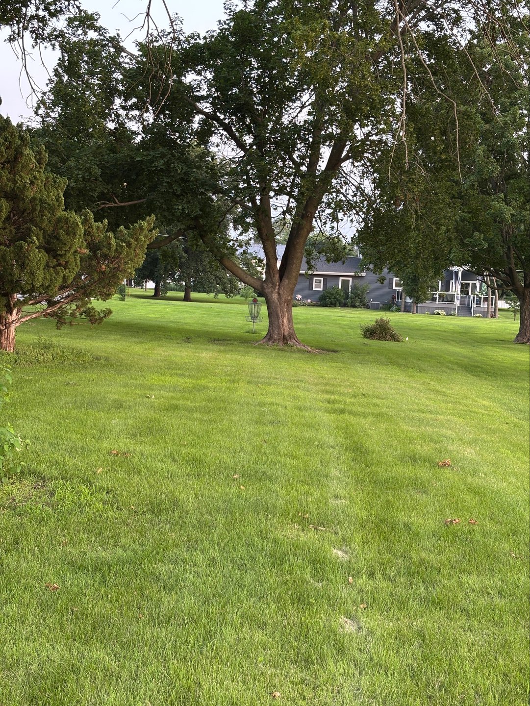 #2 Fairway