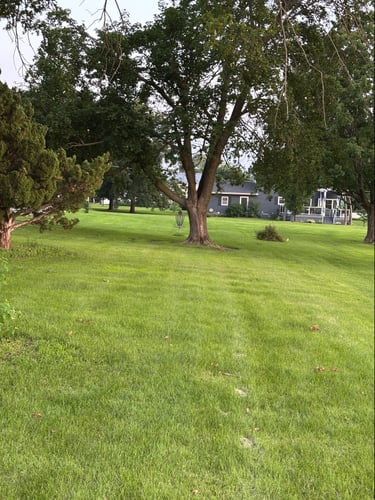 #2 Fairway