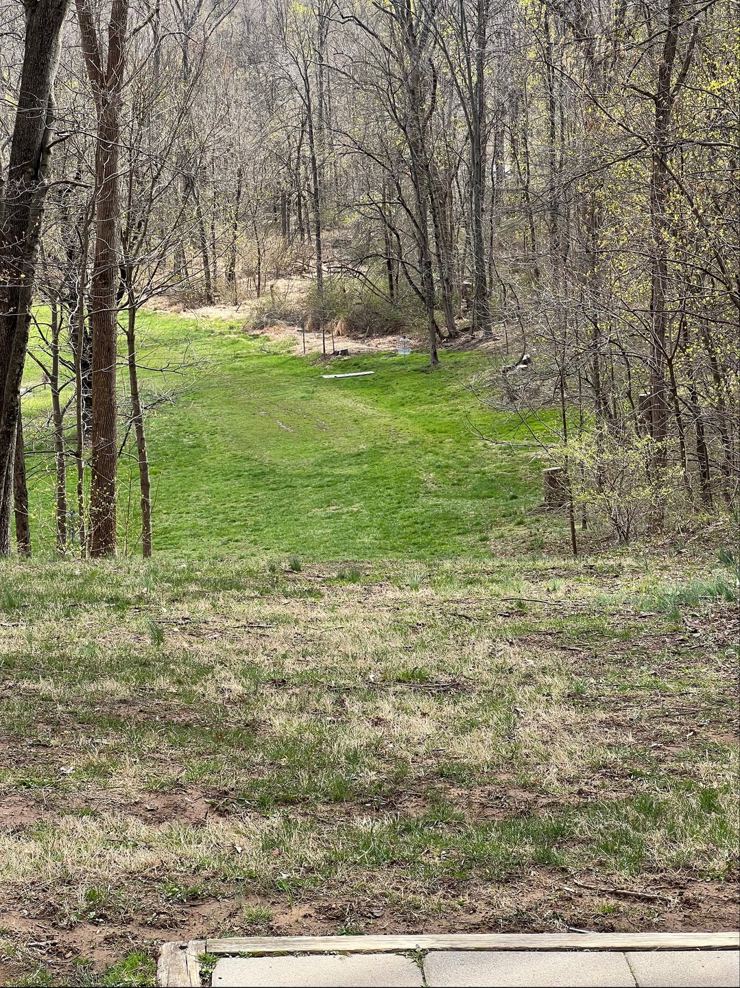 Tee view to Hole 3 Orange. Hole 3 Silver at bottom left of hill. 