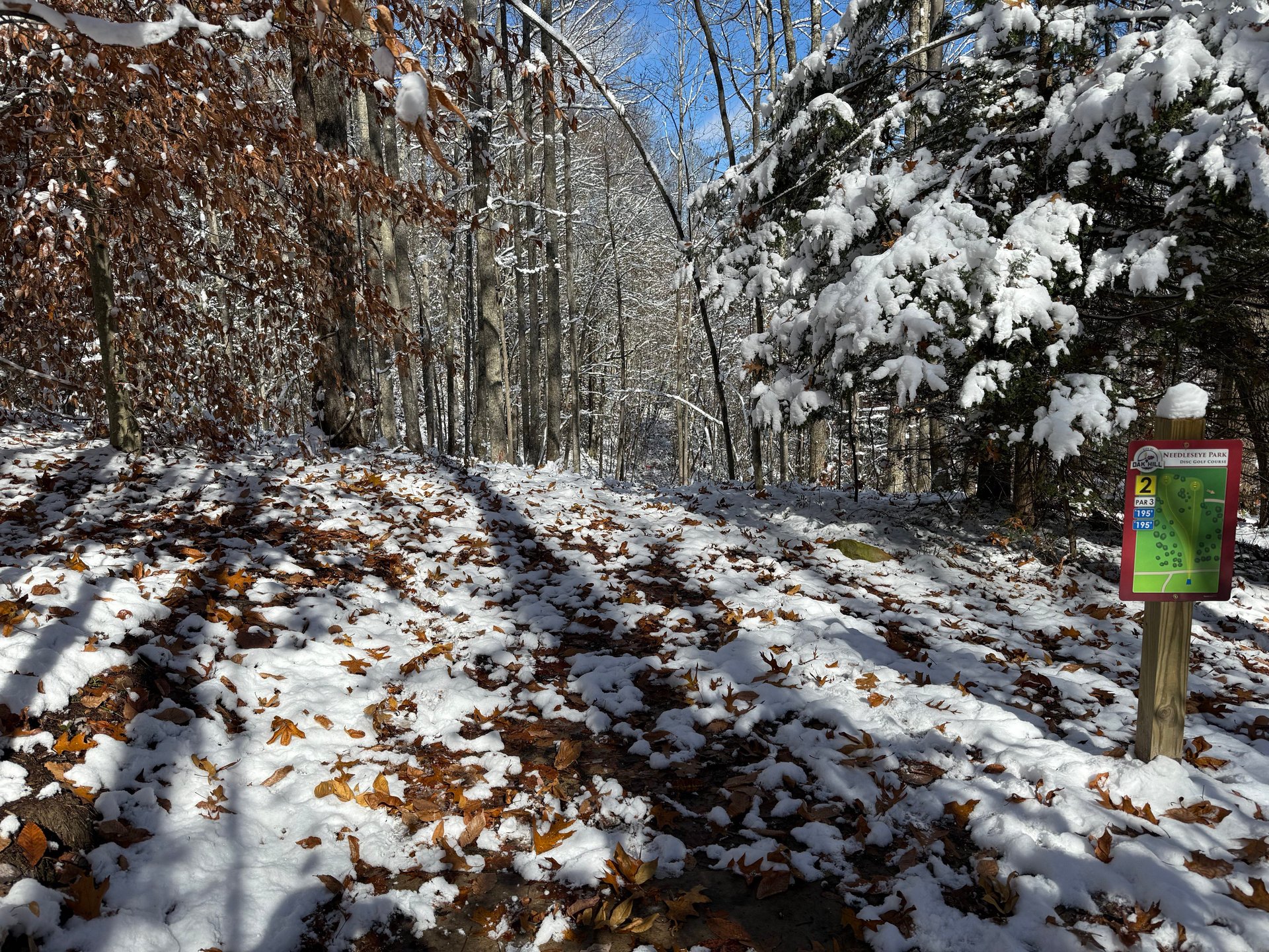 View from the teepad