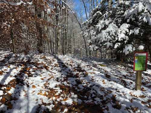 View from the teepad