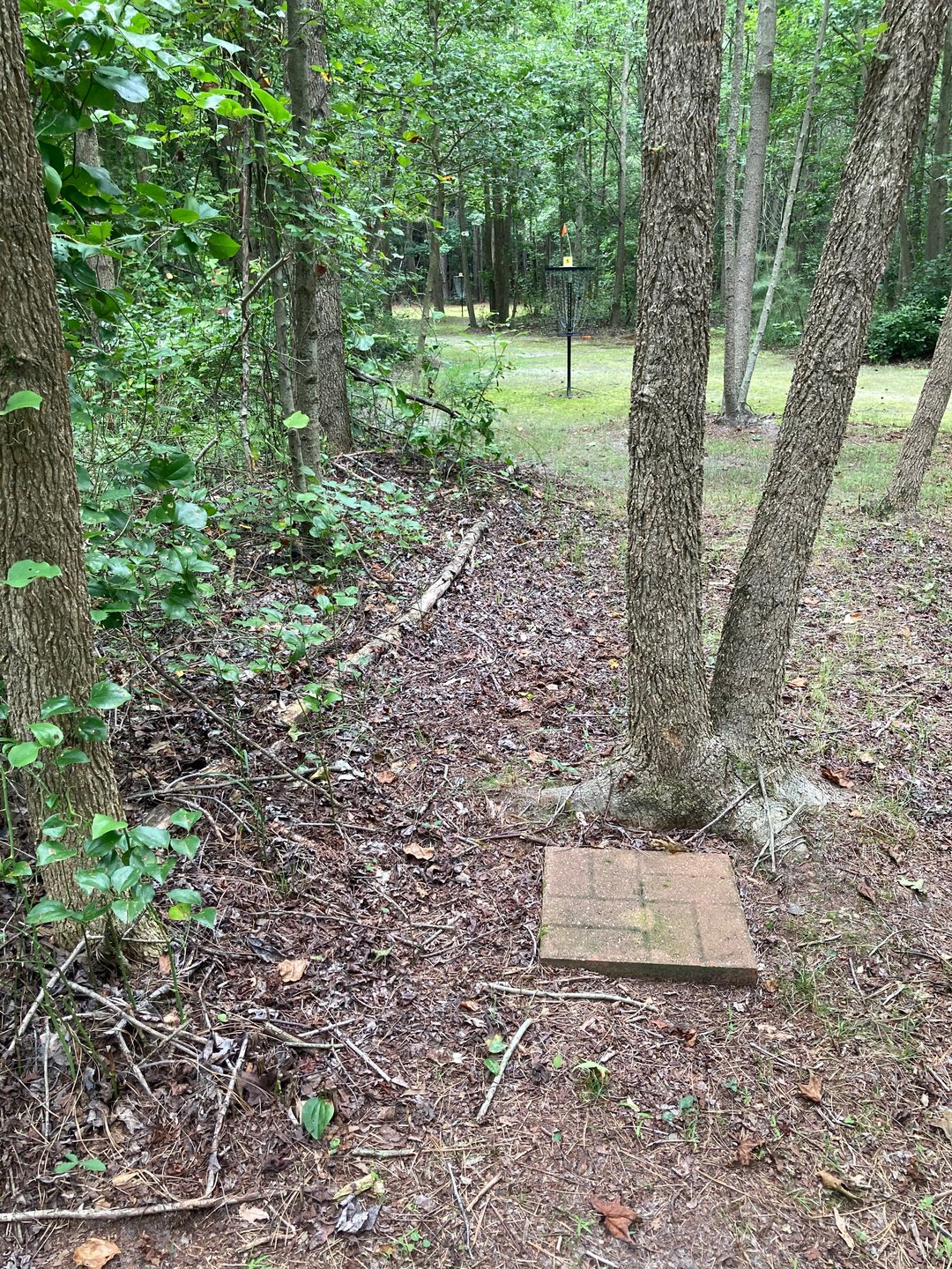 Drop zone for hole 5 and hole 5 basket