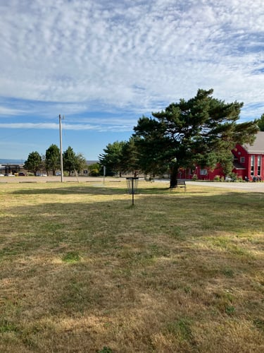 Hole 1 basket