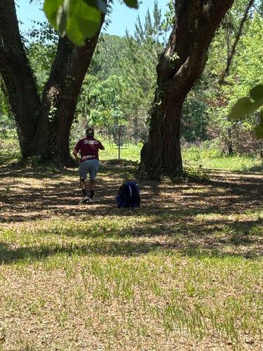 Albany Georgia Marine Base hole 13 green, guarded by large Live Oaks