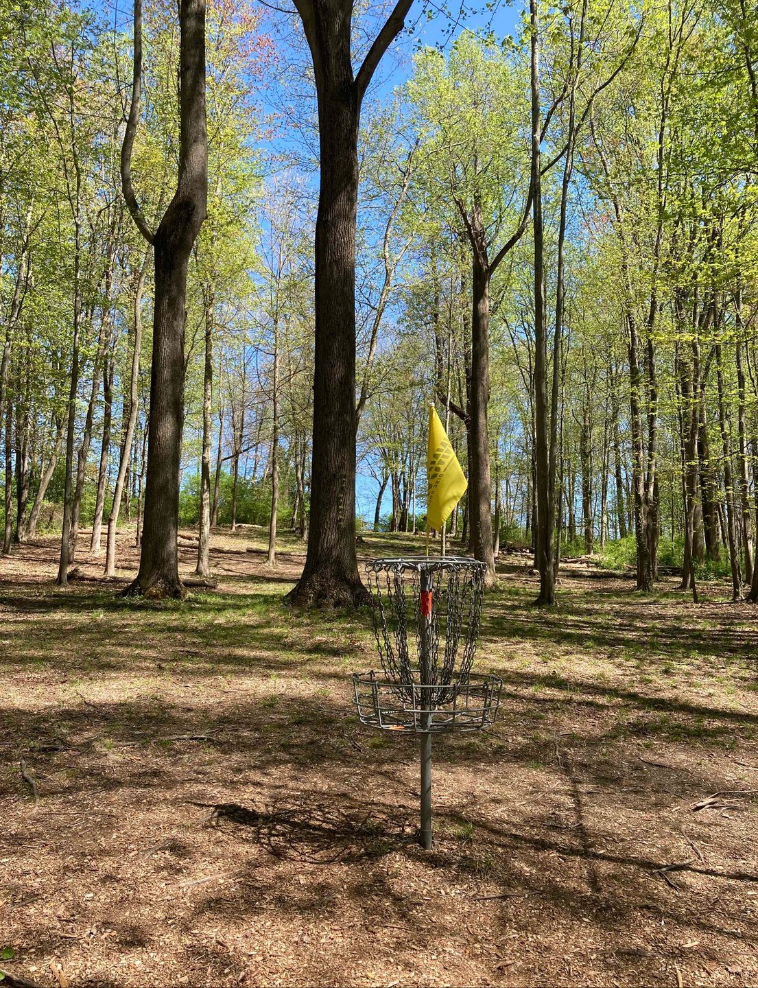 View from Hole 1 basket back up fairway