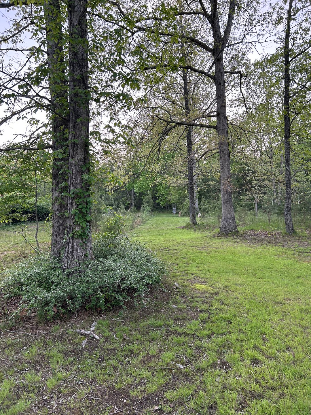 Hole 4 Spring 2025