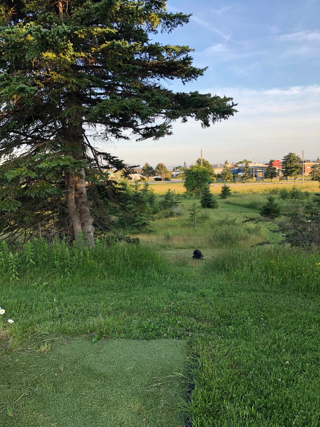 Hole 9 from blue tee