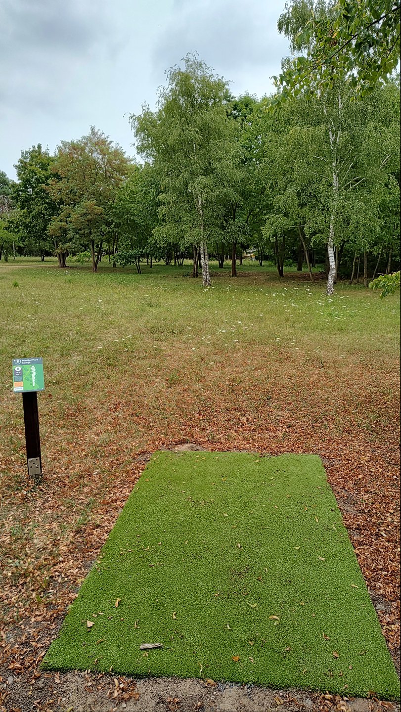 Hole 8