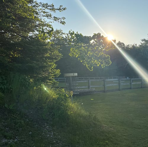 Hiram-Howard DGC Designs  profile photo