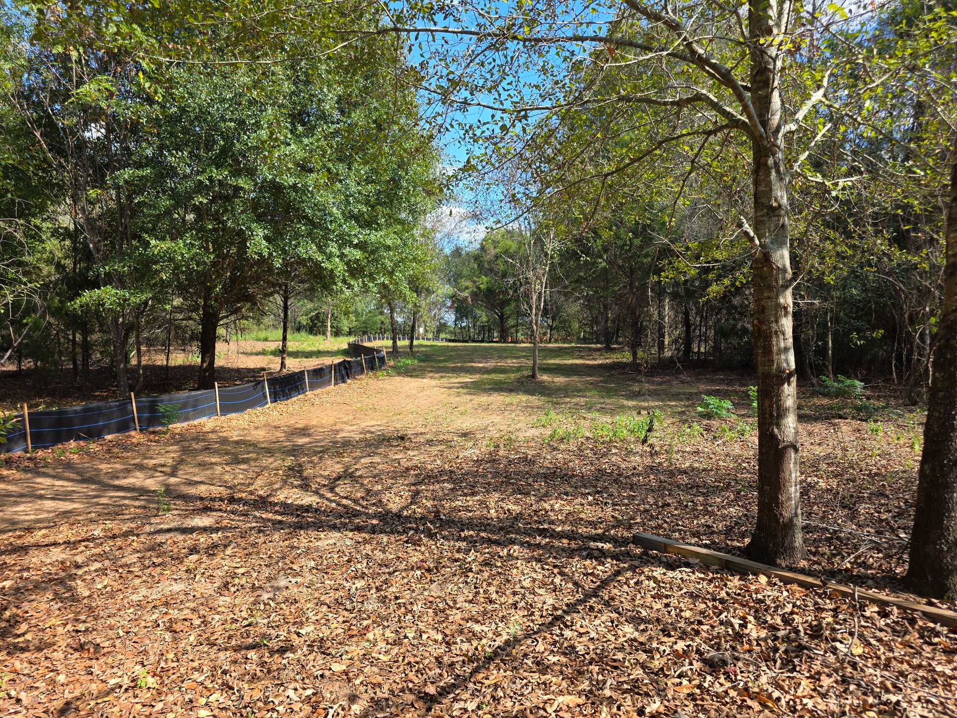 Looking off of the tee at hole 9.