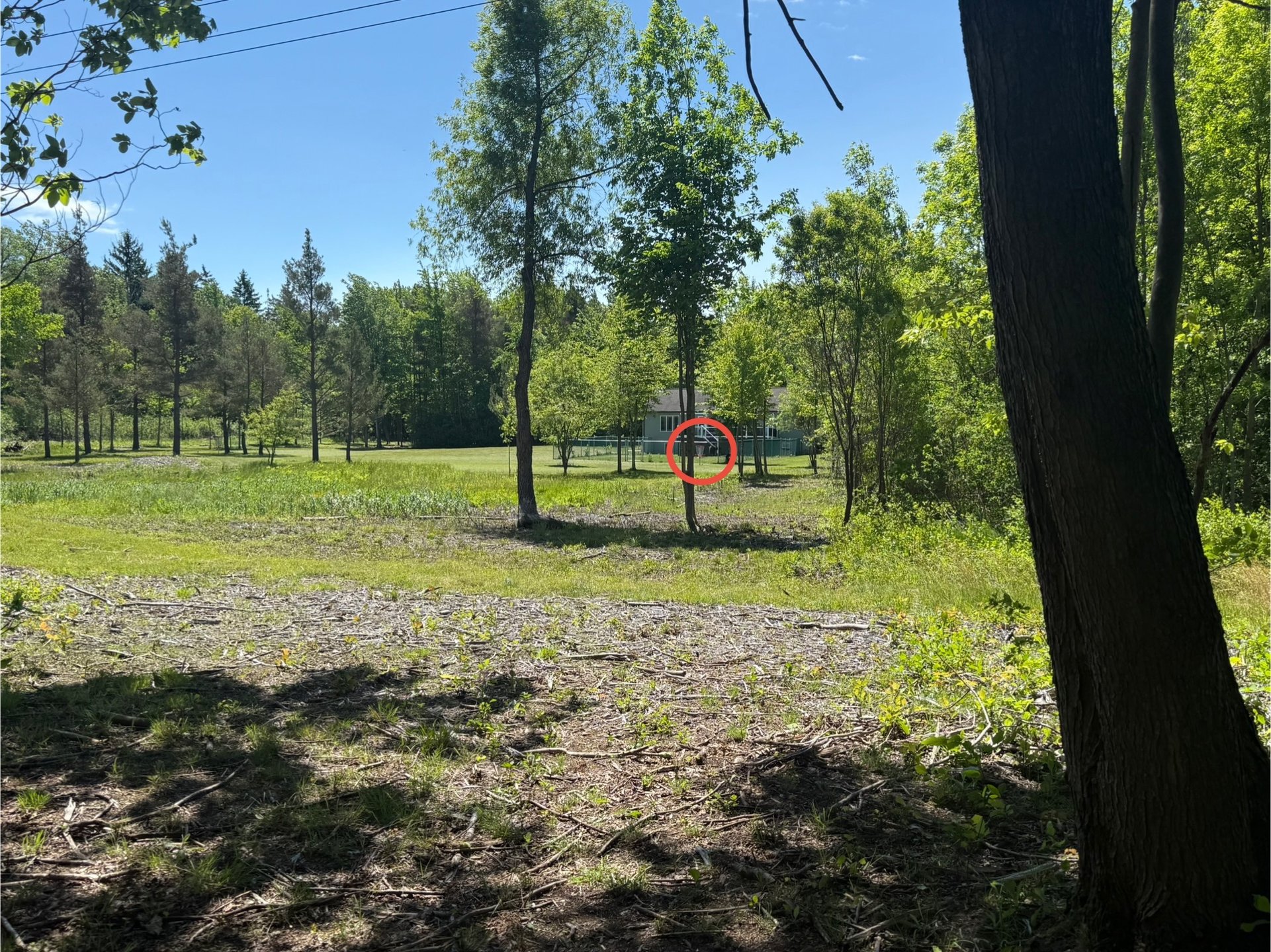 Hole 9 Tee to Basket