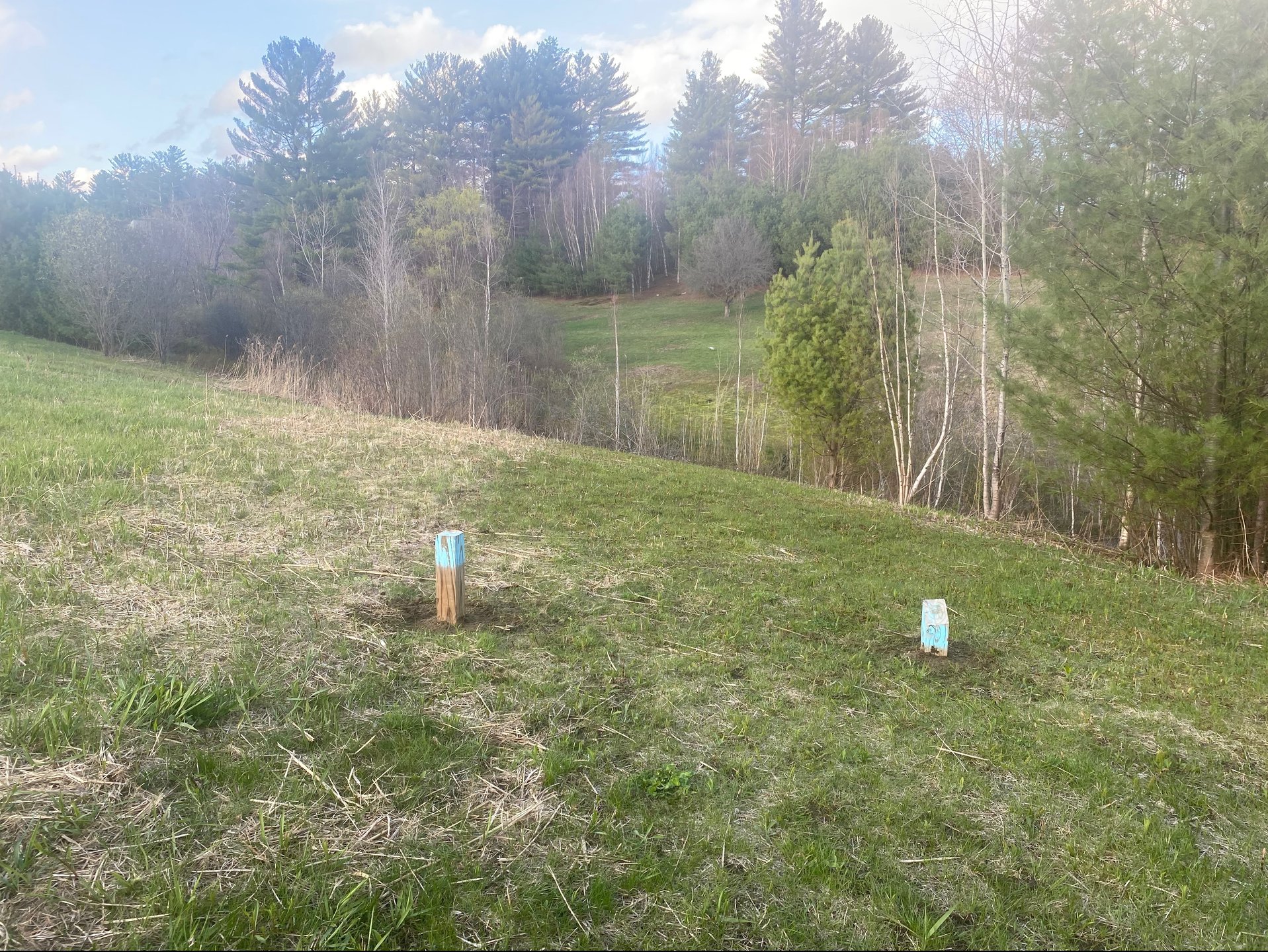 Moved the tee box of hole 14 about 15’ closer so it is in a dryer spot. 
