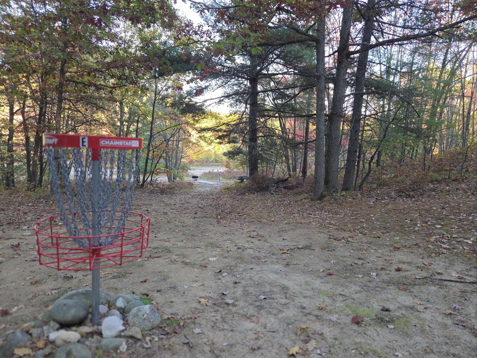 E basket looking at # 15 Tee
