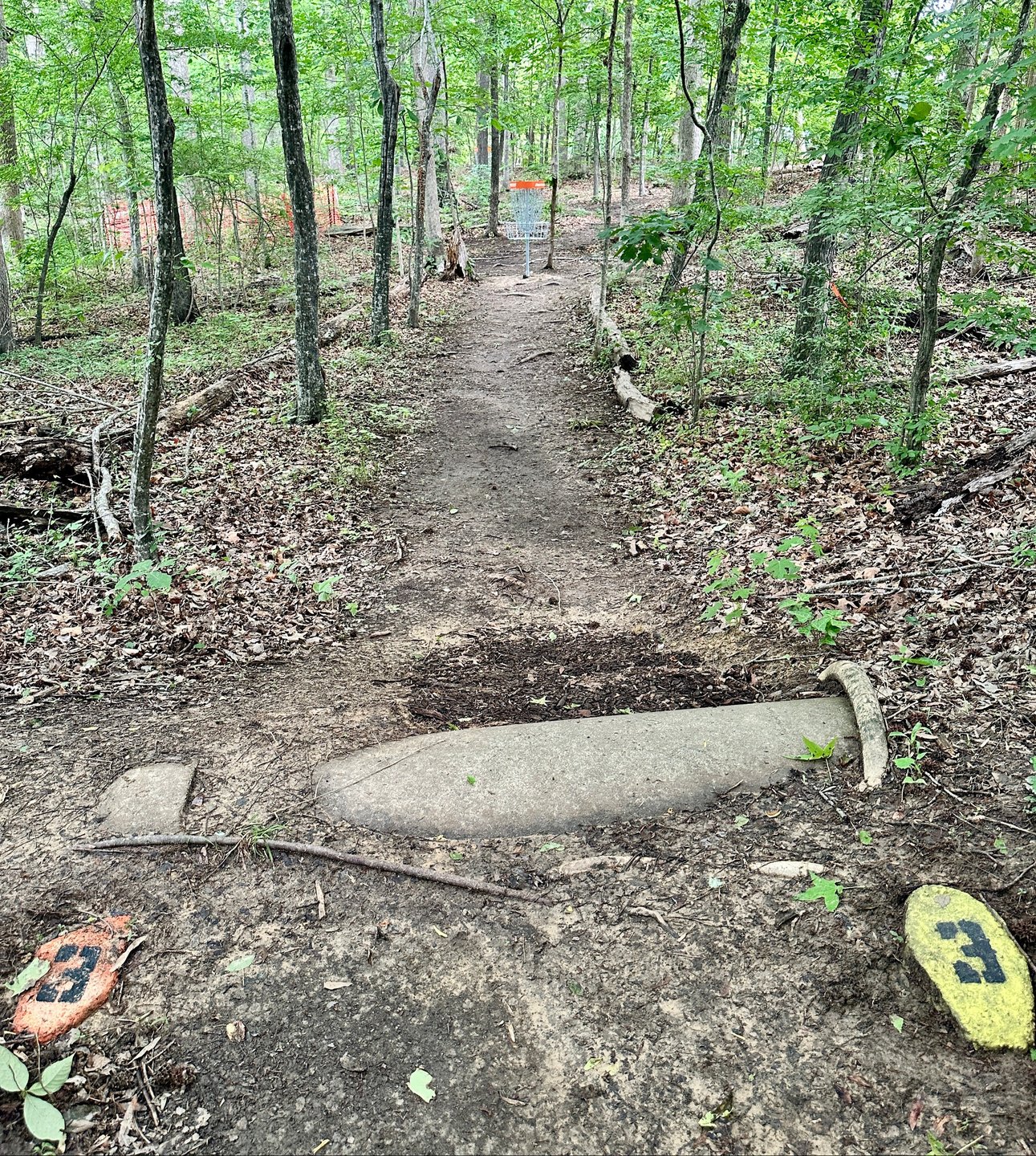 Hole #3 is another short makeable putt with a slight elevation drop.