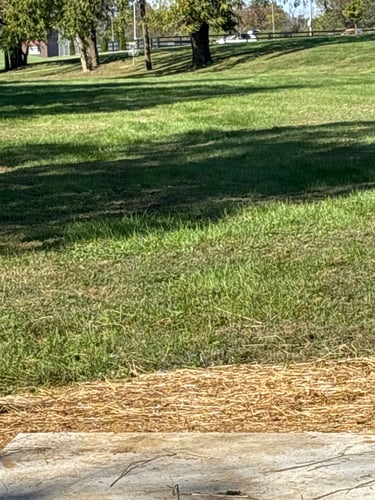 Tee to green 