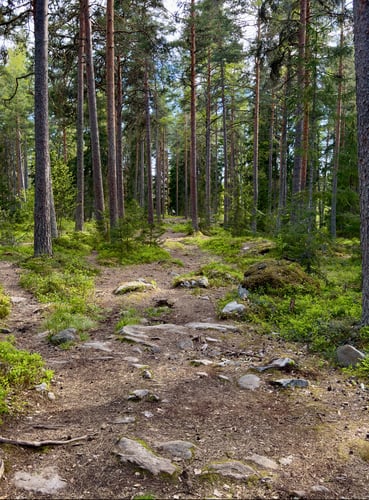 Väylä 18