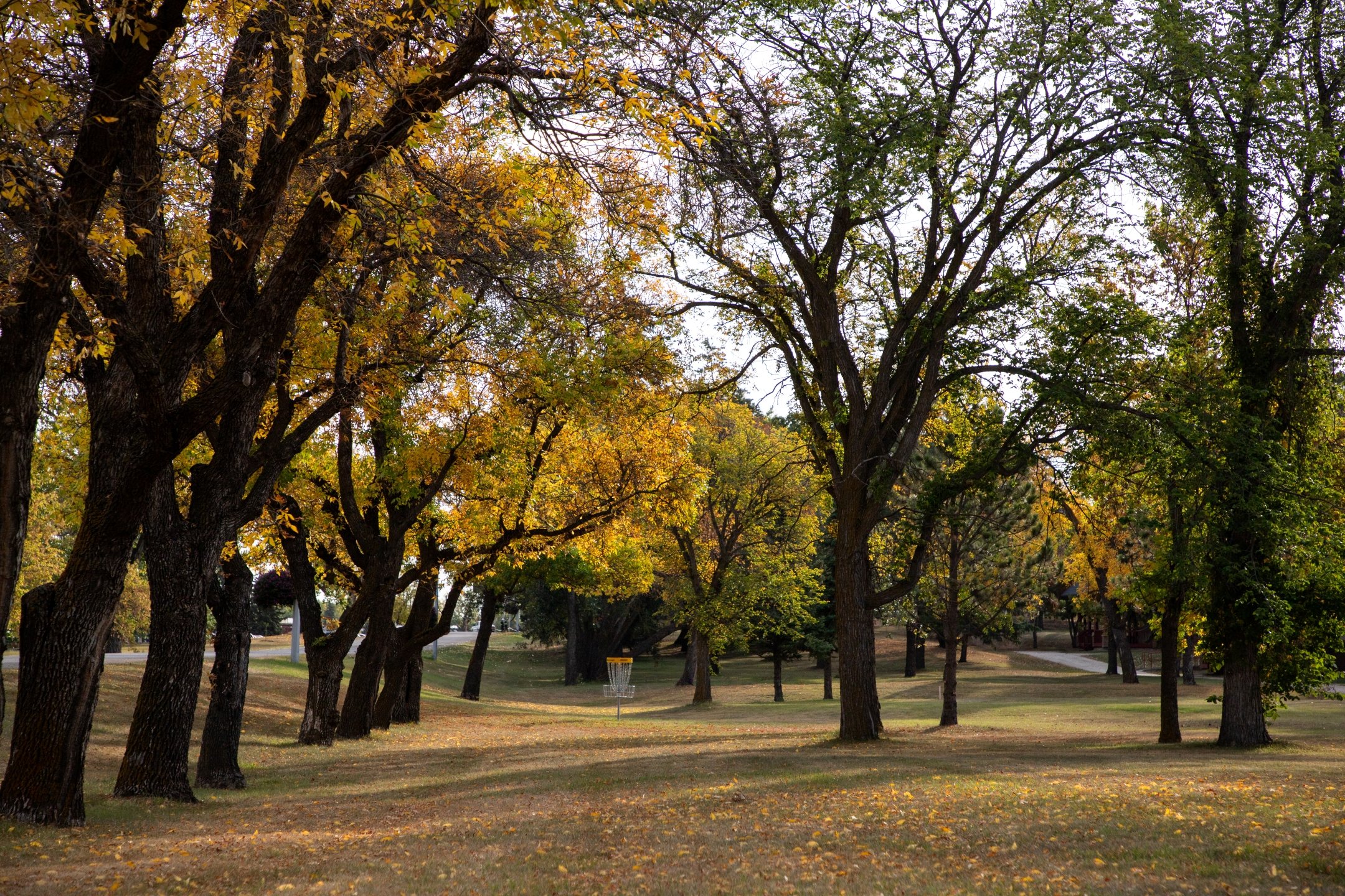 Hole 7's fairway