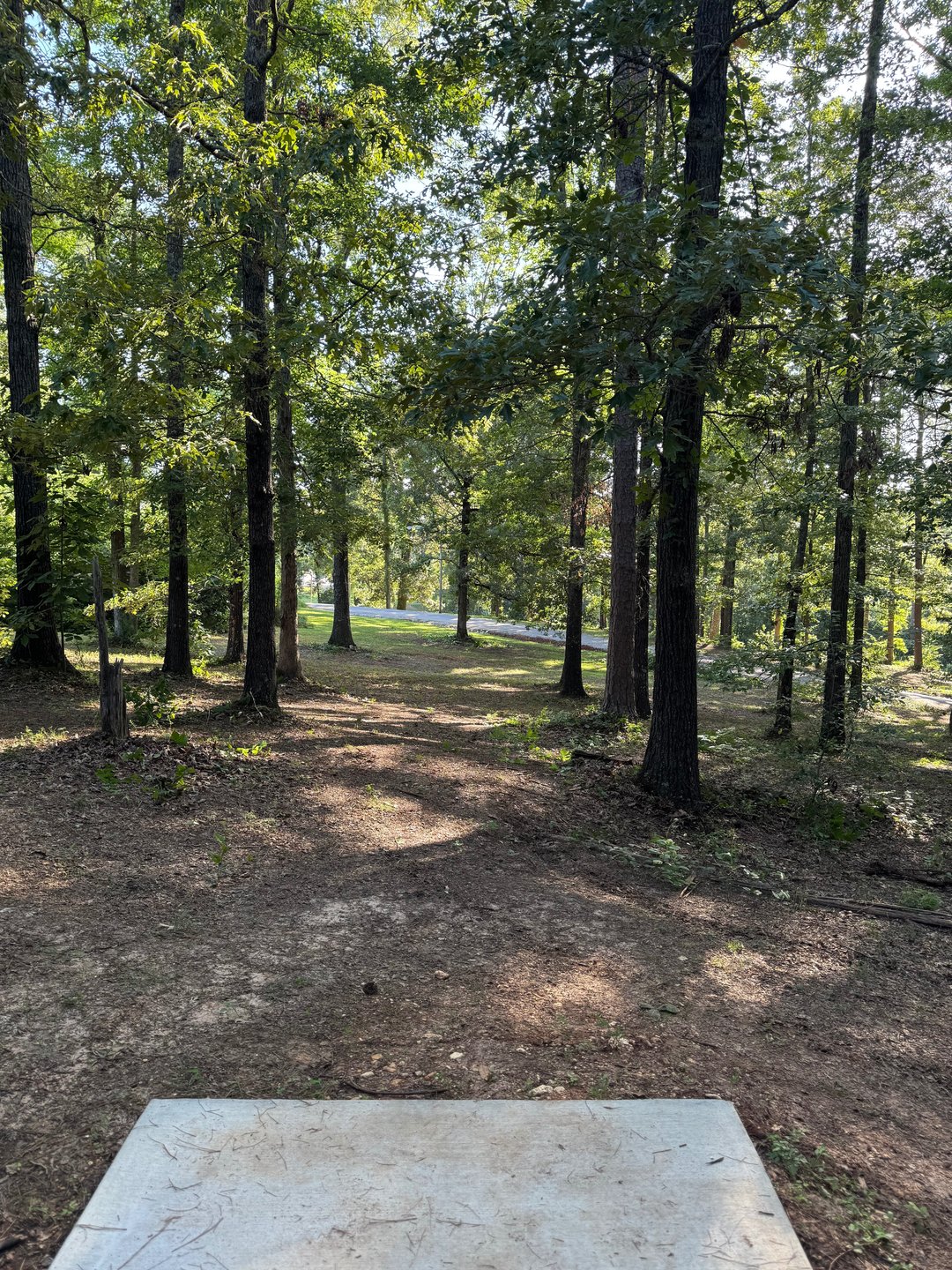 Hole 16 tee