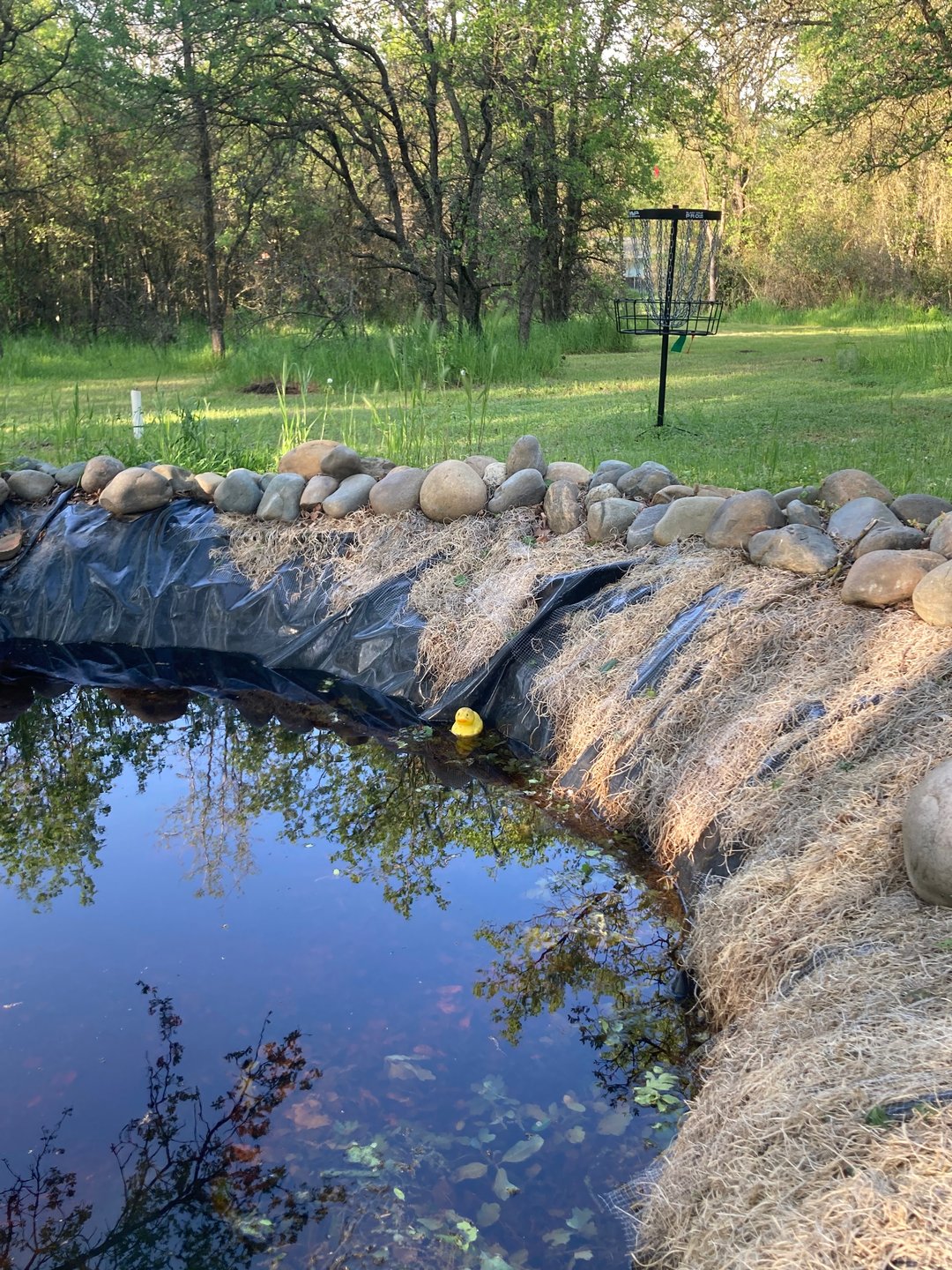Rubber Ducky Pond by the basket