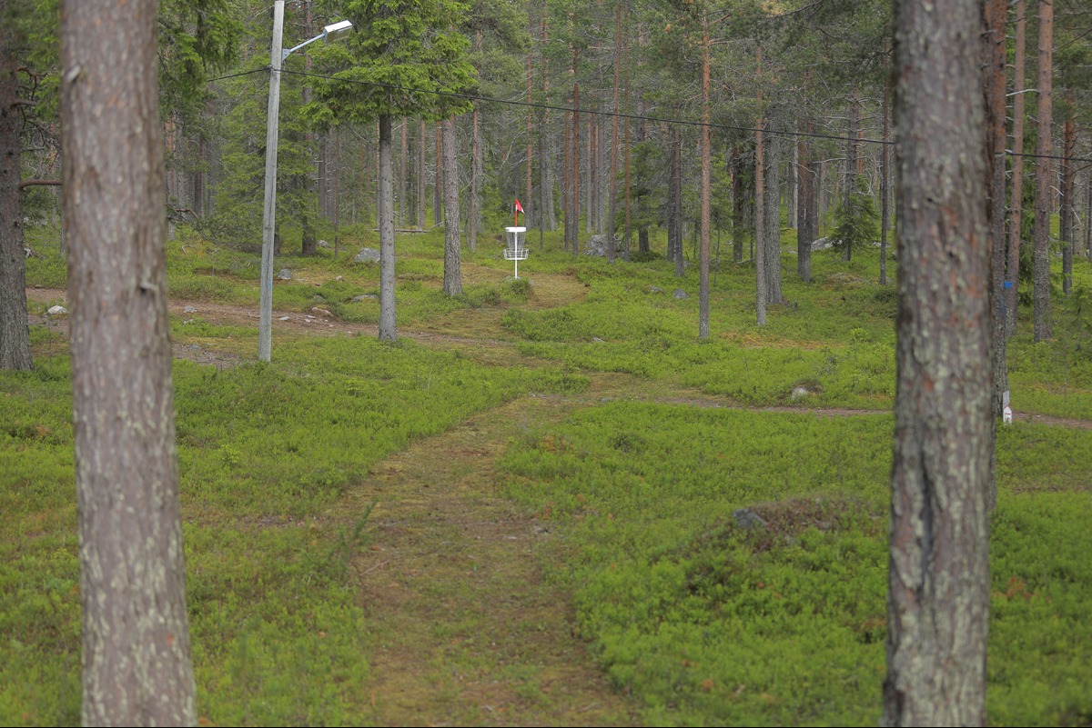 Nytrimmade stigar på bana 1.
2025-07-06