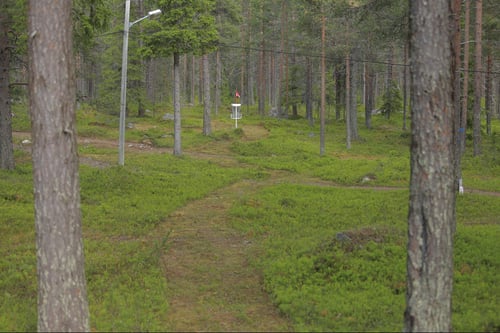 Nytrimmade stigar på bana 1.
2025-07-06