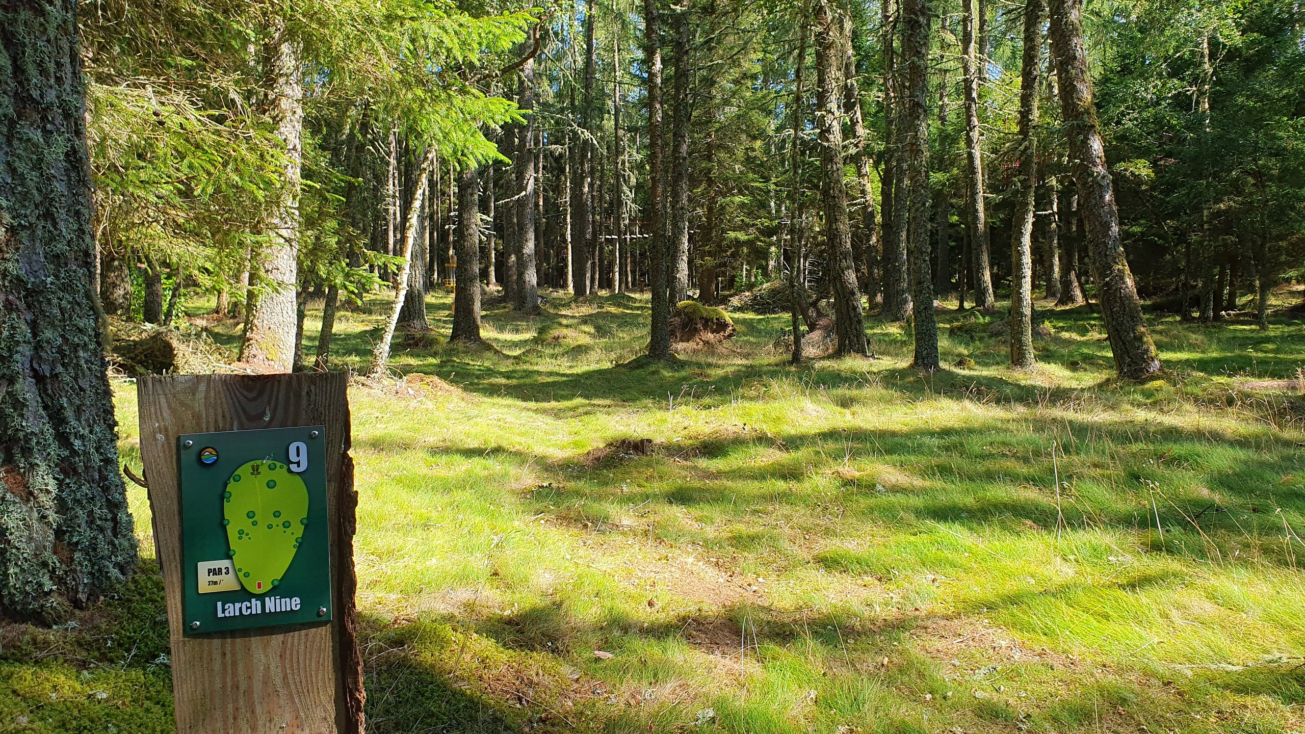 Hole #9 - Larch Nine